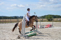 Vente de poney